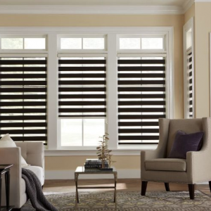 WINDOWS BLINDS